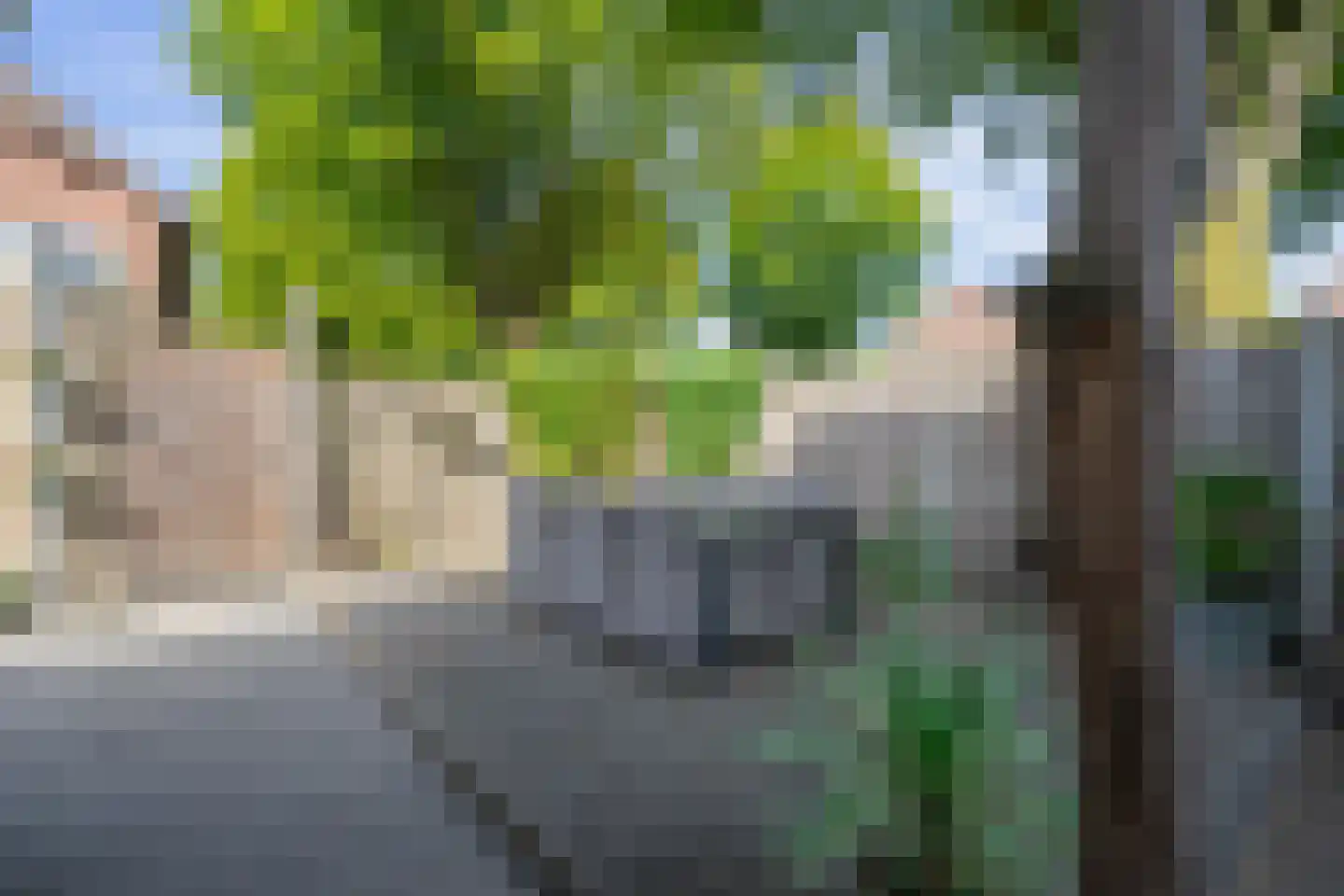 Wilhelminastraat 39 Bakel thumbnail 41