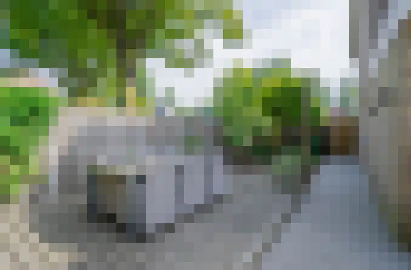 Wilhelminastraat 39 Bakel thumbnail 42