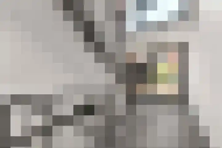 Wilhelminastraat 39 c Breukelen thumbnail 6