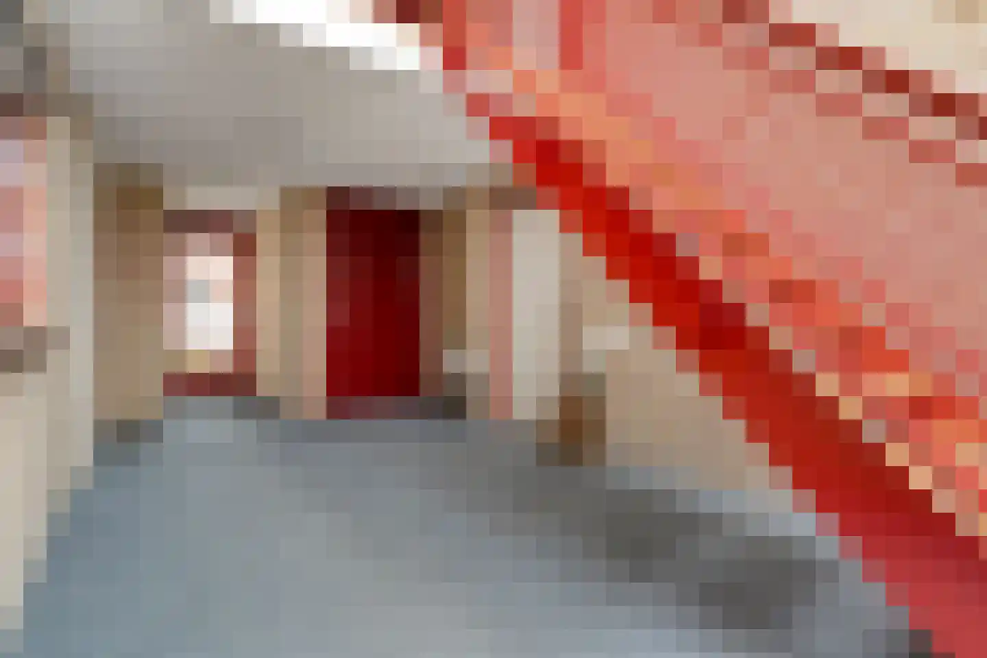 Wilhelminastraat 39 C Dalfsen thumbnail 10