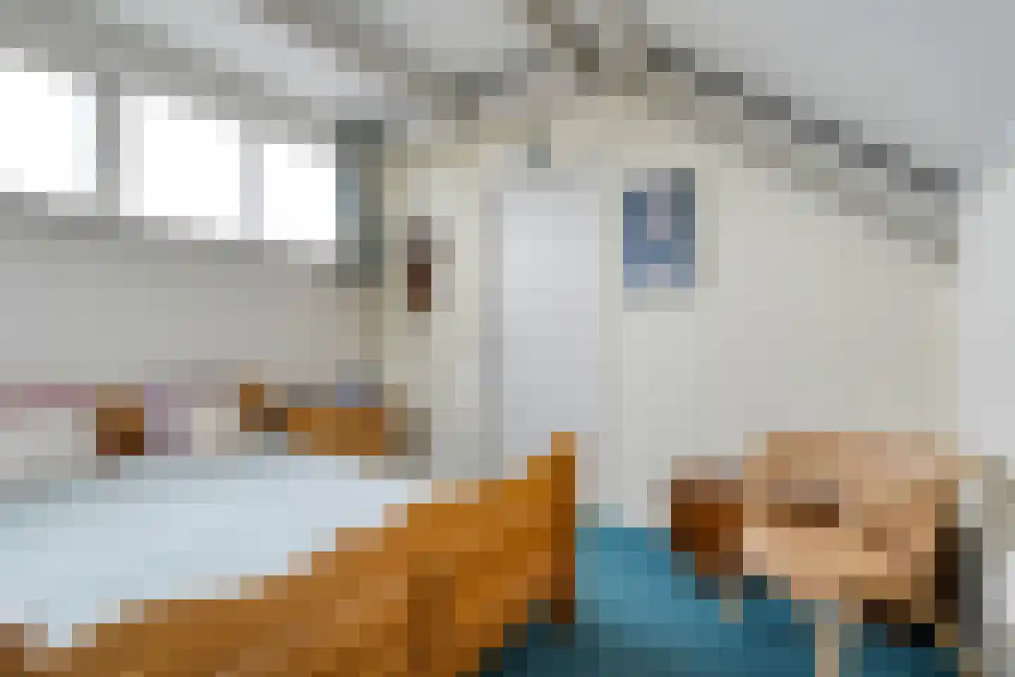 Wilhelminastraat 39 C Dalfsen thumbnail 31