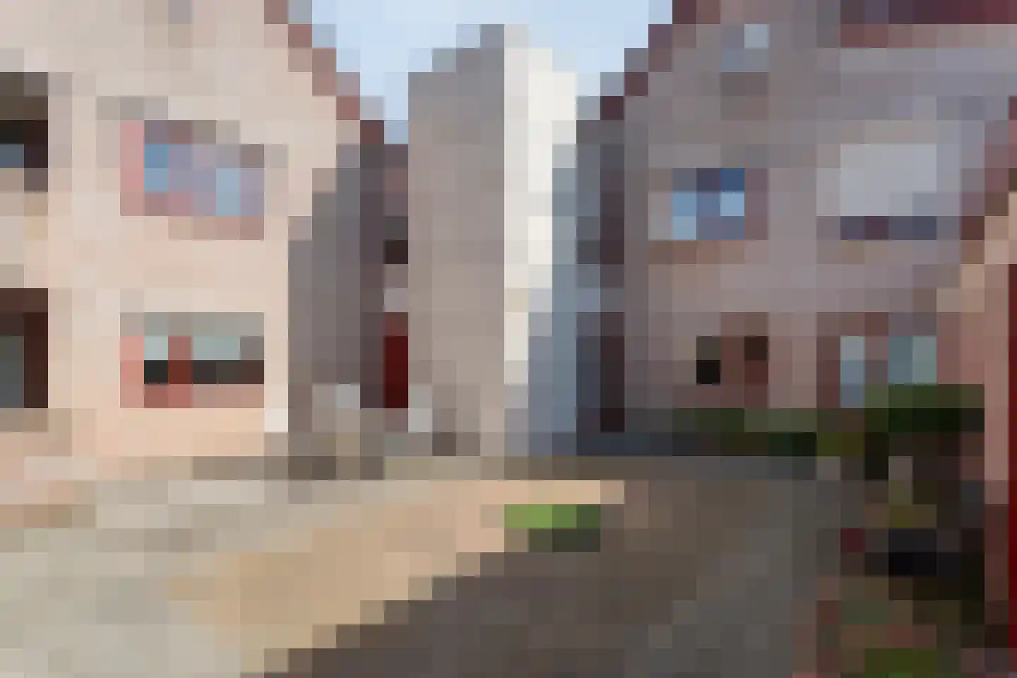Wilhelminastraat 39 C Dalfsen thumbnail 34