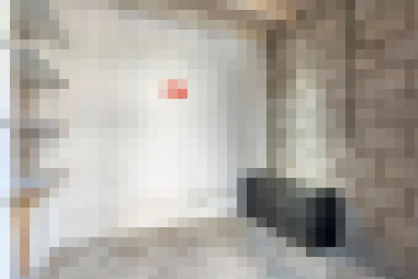 Wilhelminastraat 39 C Dalfsen thumbnail 36