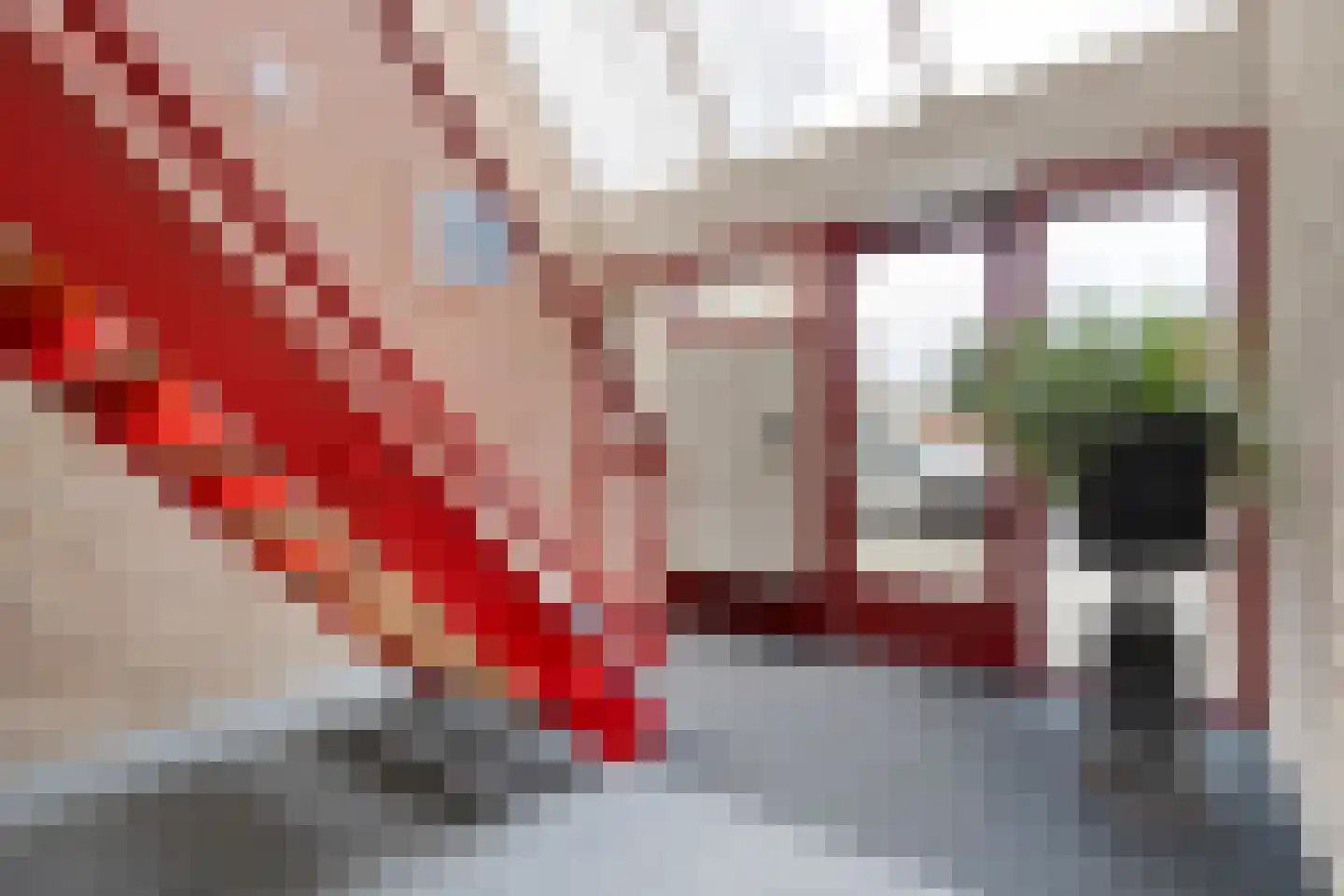 Wilhelminastraat 39 C Dalfsen thumbnail 9
