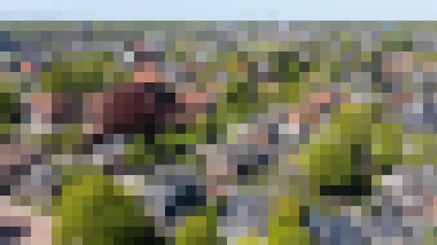 Wilhelminastraat 39 Doetinchem thumbnail 11
