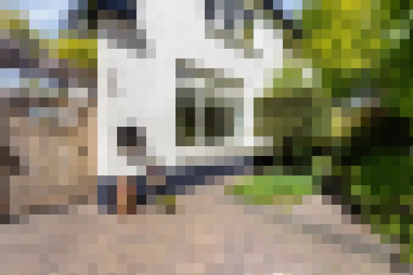 Wilhelminastraat 39 Doetinchem thumbnail 14
