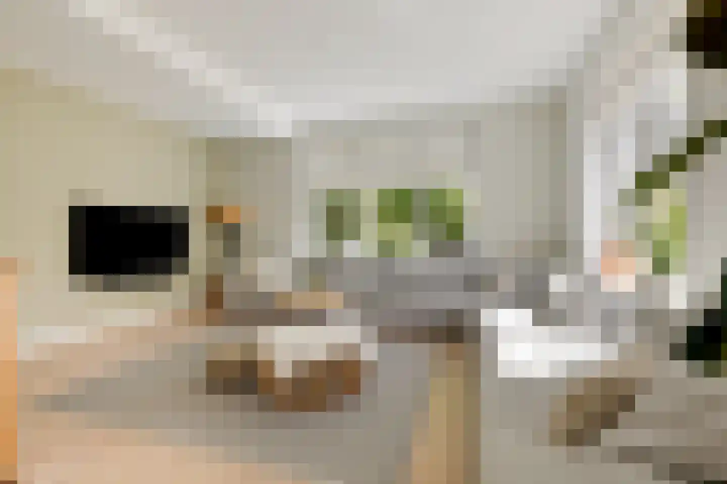 Wilhelminastraat 39 Doetinchem thumbnail 30