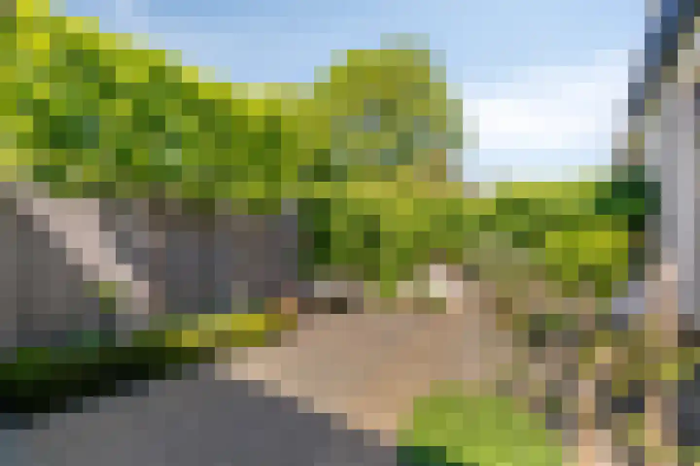 Wilhelminastraat 39 Doetinchem thumbnail 39