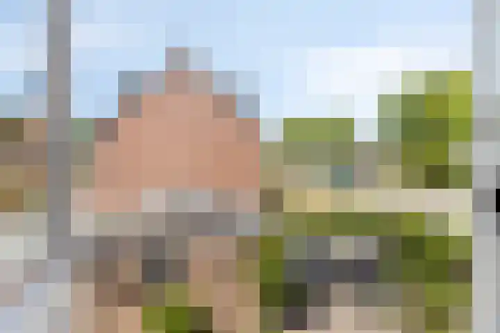 Wilhelminastraat 39 Leiderdorp thumbnail 21