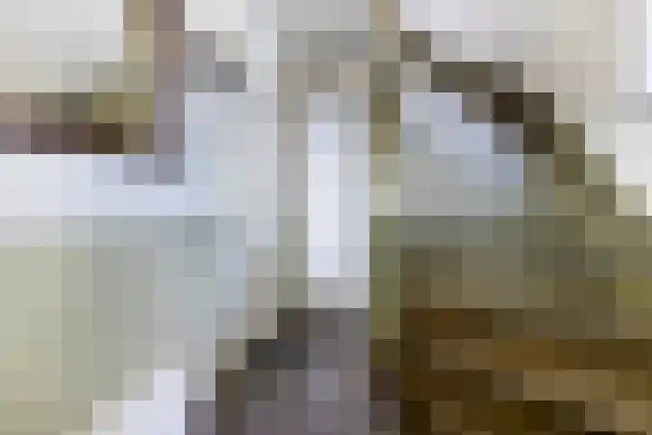 Wilhelminastraat 39 Leiderdorp thumbnail 6