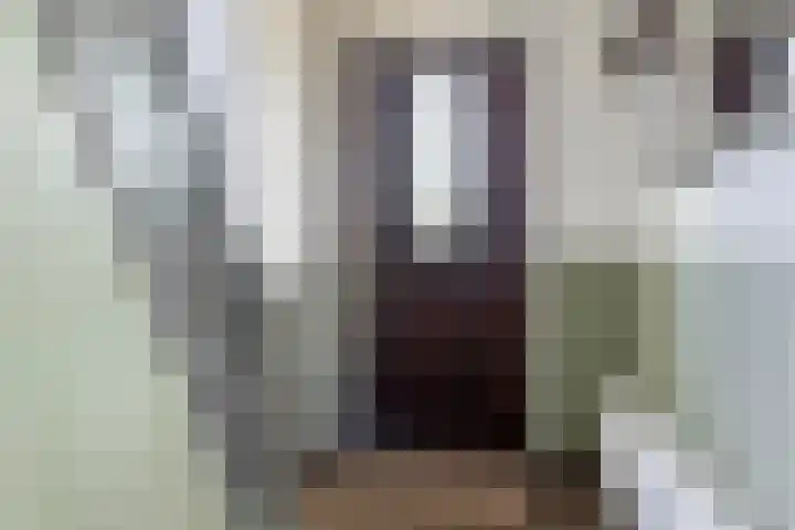 Wilhelminastraat 39 Leiderdorp thumbnail 7