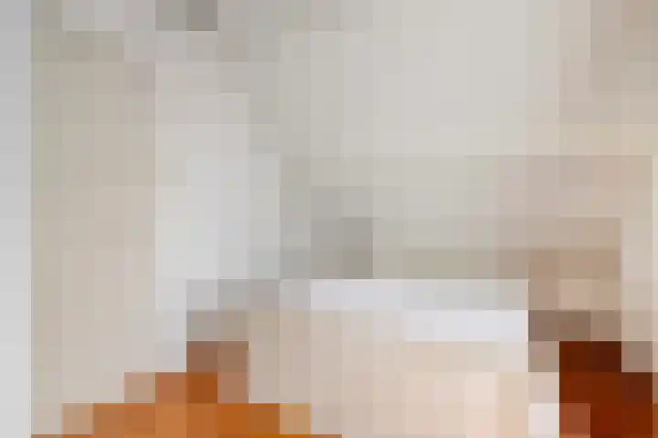 Wilhelminastraat 39 Oudelande thumbnail 23