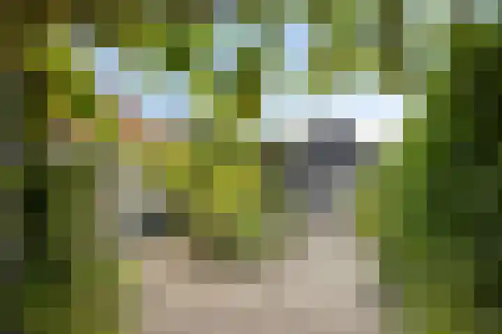 Wilhelminastraat 39 Oudelande thumbnail 31