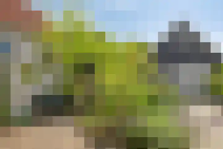 Wilhelminastraat 39 Oudelande thumbnail 33