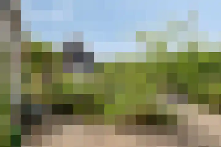 Wilhelminastraat 39 Oudelande thumbnail 34
