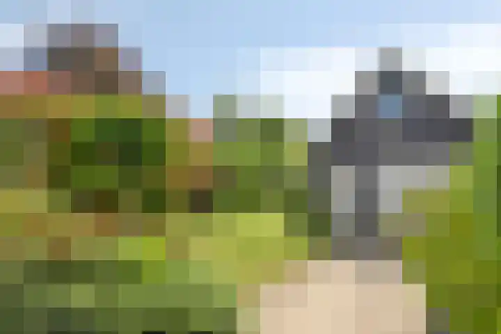 Wilhelminastraat 39 Oudelande thumbnail 35