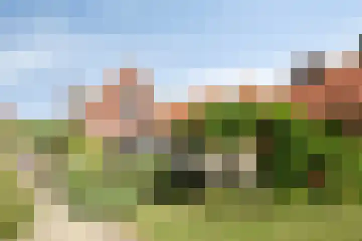 Wilhelminastraat 39 Oudelande thumbnail 36
