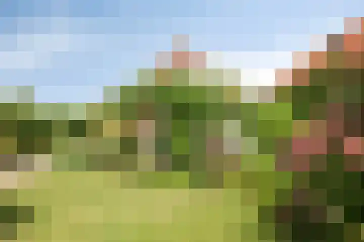Wilhelminastraat 39 Oudelande thumbnail 38