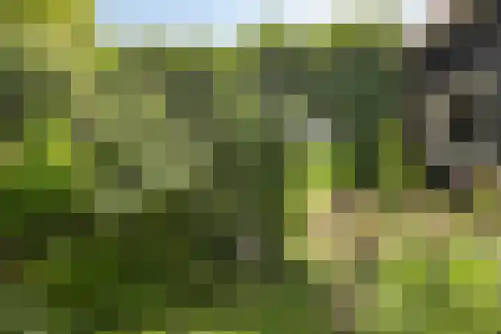 Wilhelminastraat 39 Oudelande thumbnail 39