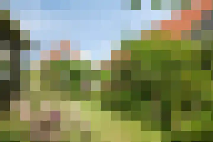 Wilhelminastraat 39 Oudelande thumbnail 40