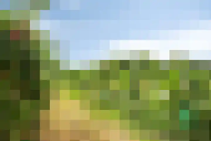 Wilhelminastraat 39 Oudelande thumbnail 41