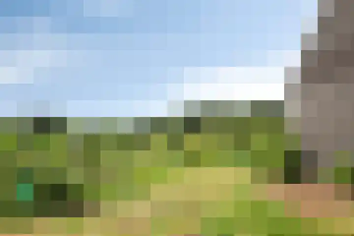 Wilhelminastraat 39 Oudelande thumbnail 42