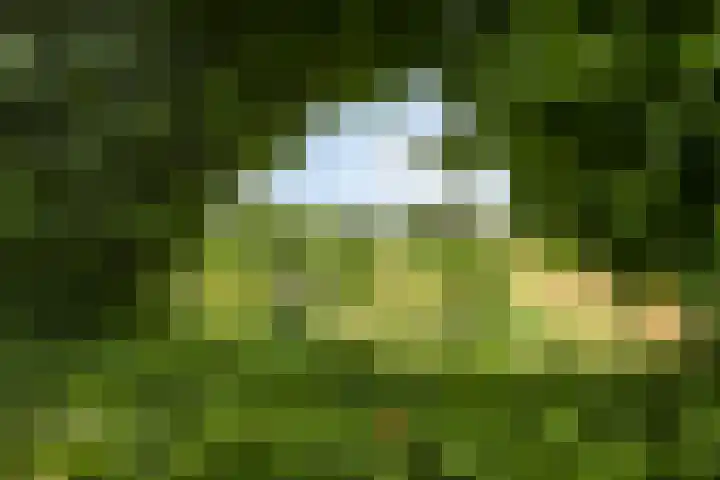 Wilhelminastraat 39 Oudelande thumbnail 43