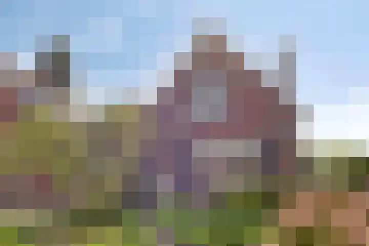 Wilhelminastraat 39 Oudelande thumbnail 5