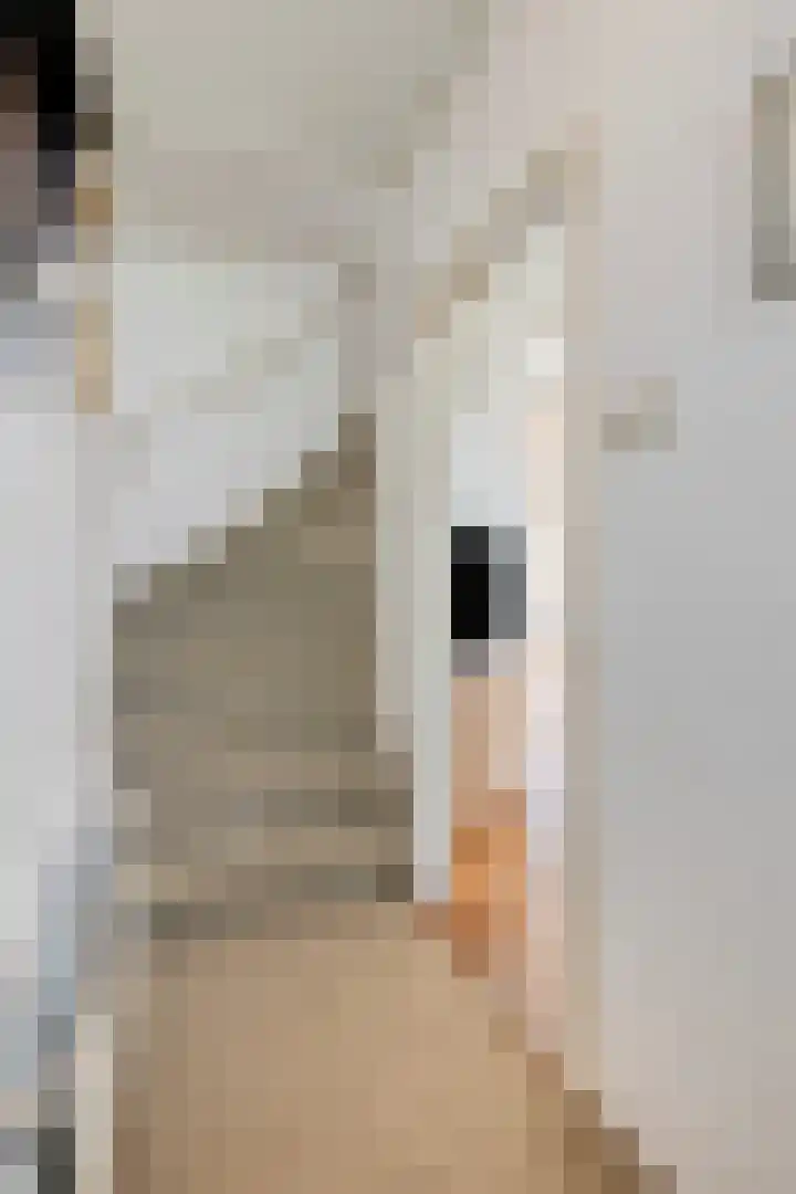 Wilhelminastraat 39 Oudelande thumbnail 7