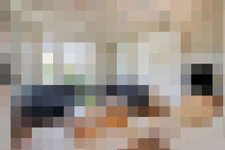 Wilhelminastraat 39 Oudelande thumbnail 8