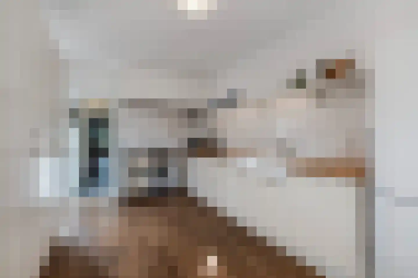 Wilhelminastraat 39 Steenwijk thumbnail 16