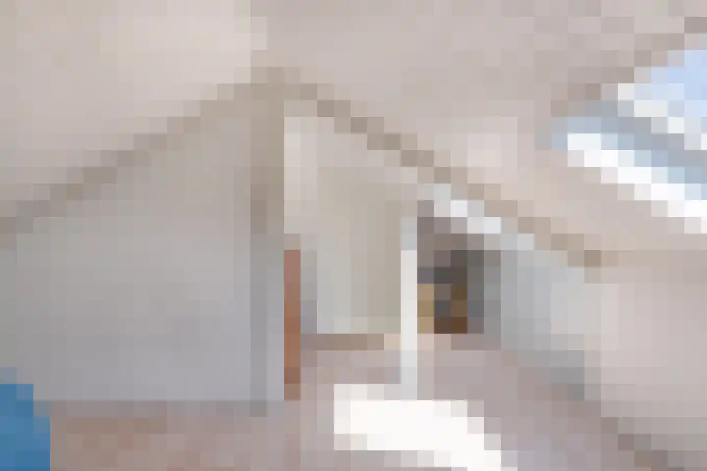 Wilhelminastraat 39 Steenwijk thumbnail 35