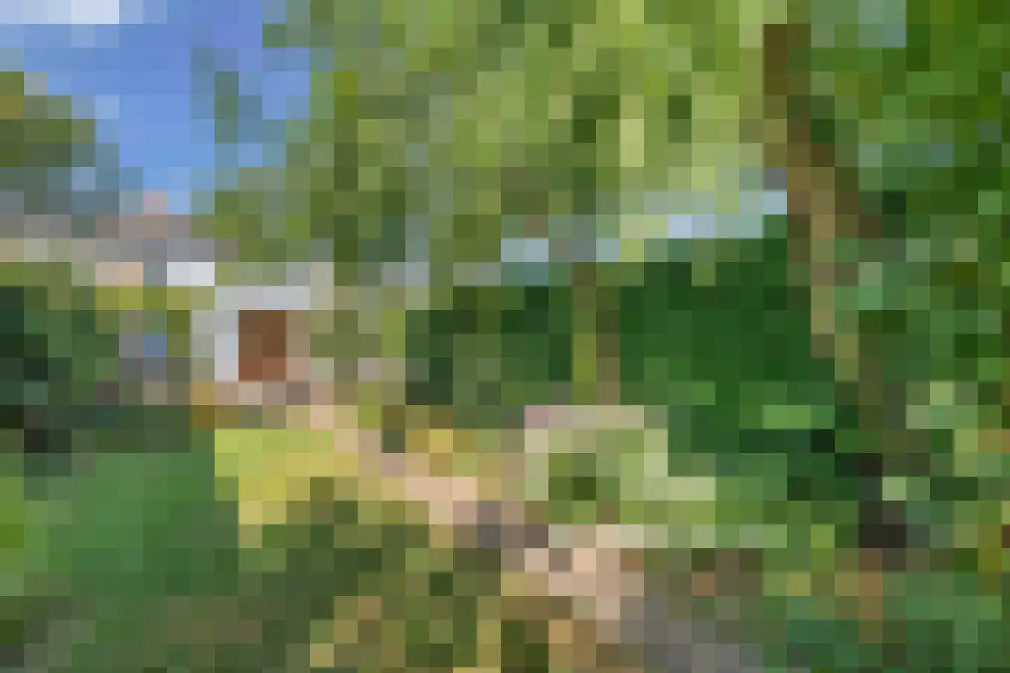 Wilhelminastraat 39 Steenwijk thumbnail 37
