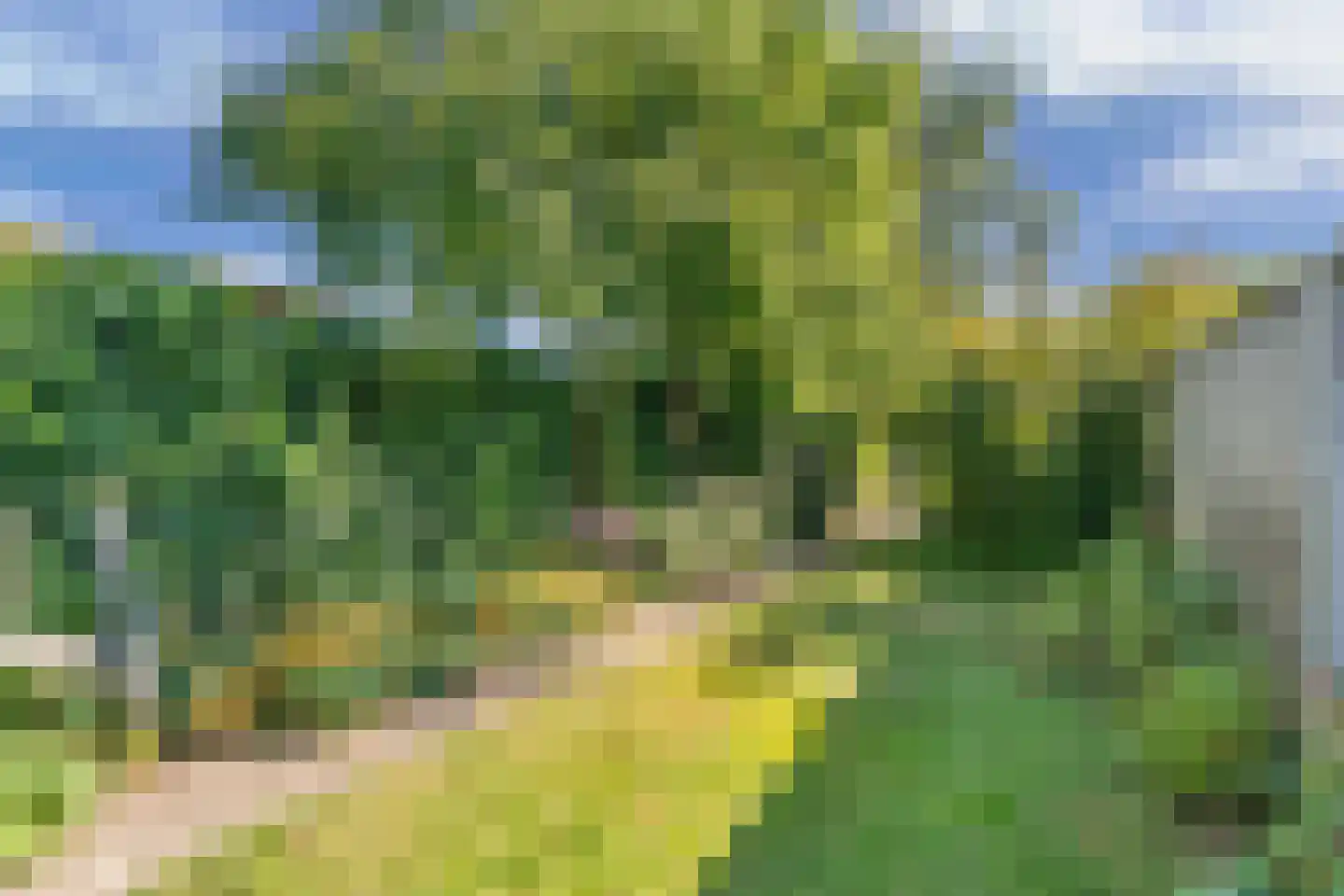 Wilhelminastraat 39 Steenwijk thumbnail 38