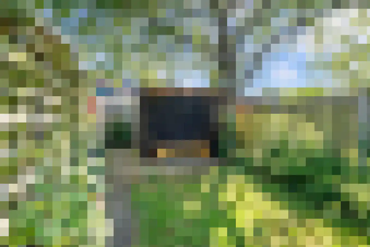 Wilhelminastraat 39 Steenwijk thumbnail 39