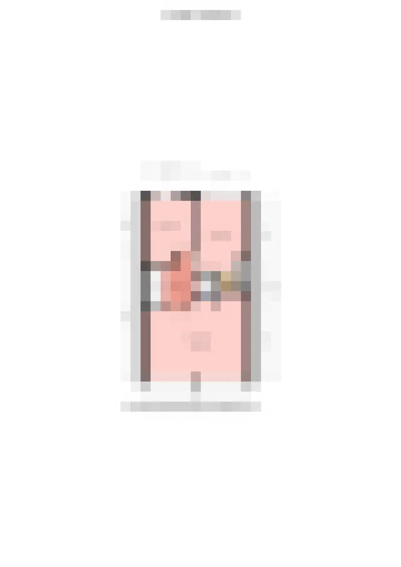 Wilhelminastraat 39 Steenwijk thumbnail 46