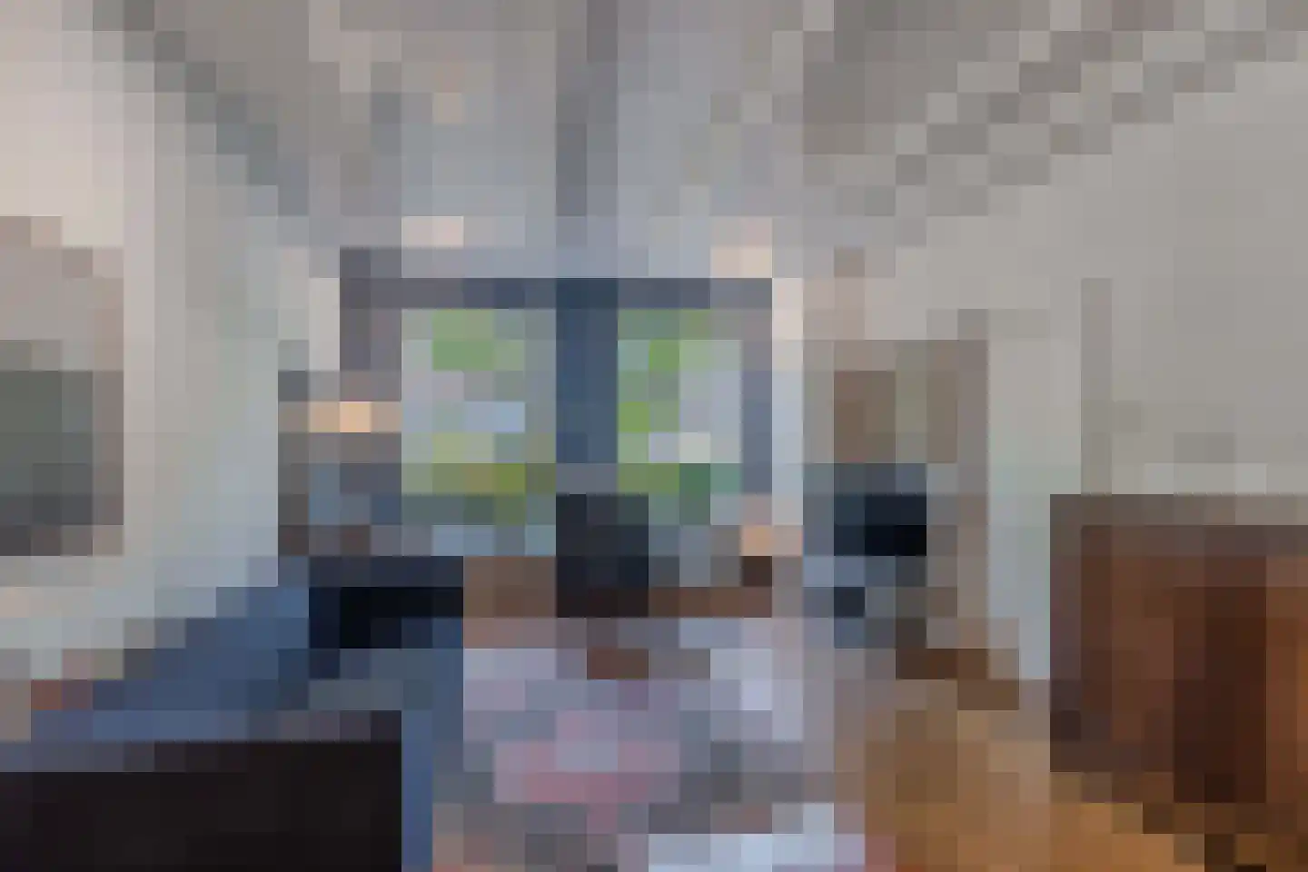 Wilhelminastraat 39 Steenwijk thumbnail 6