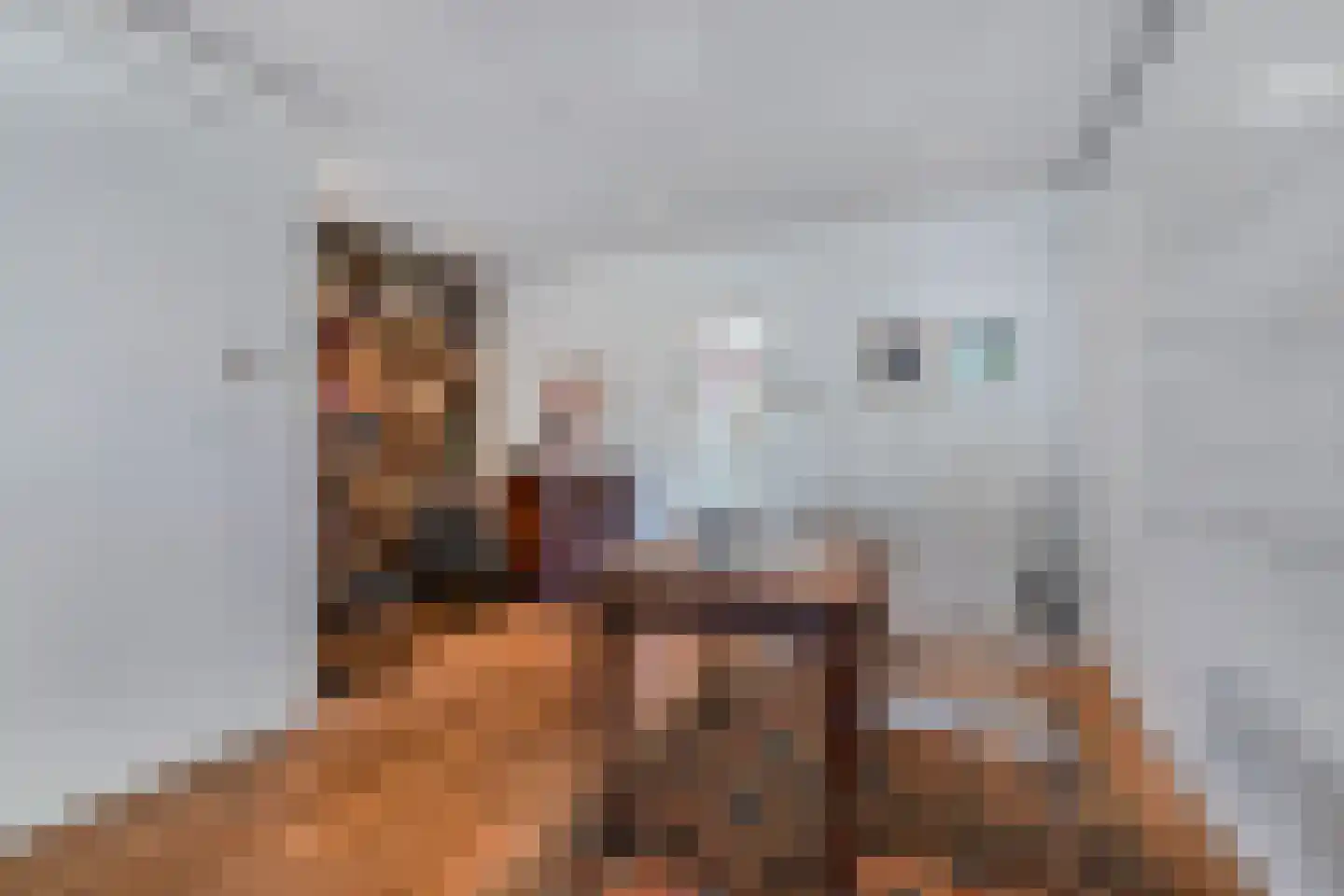 Wilhelminastraat 39 Steenwijk thumbnail 8