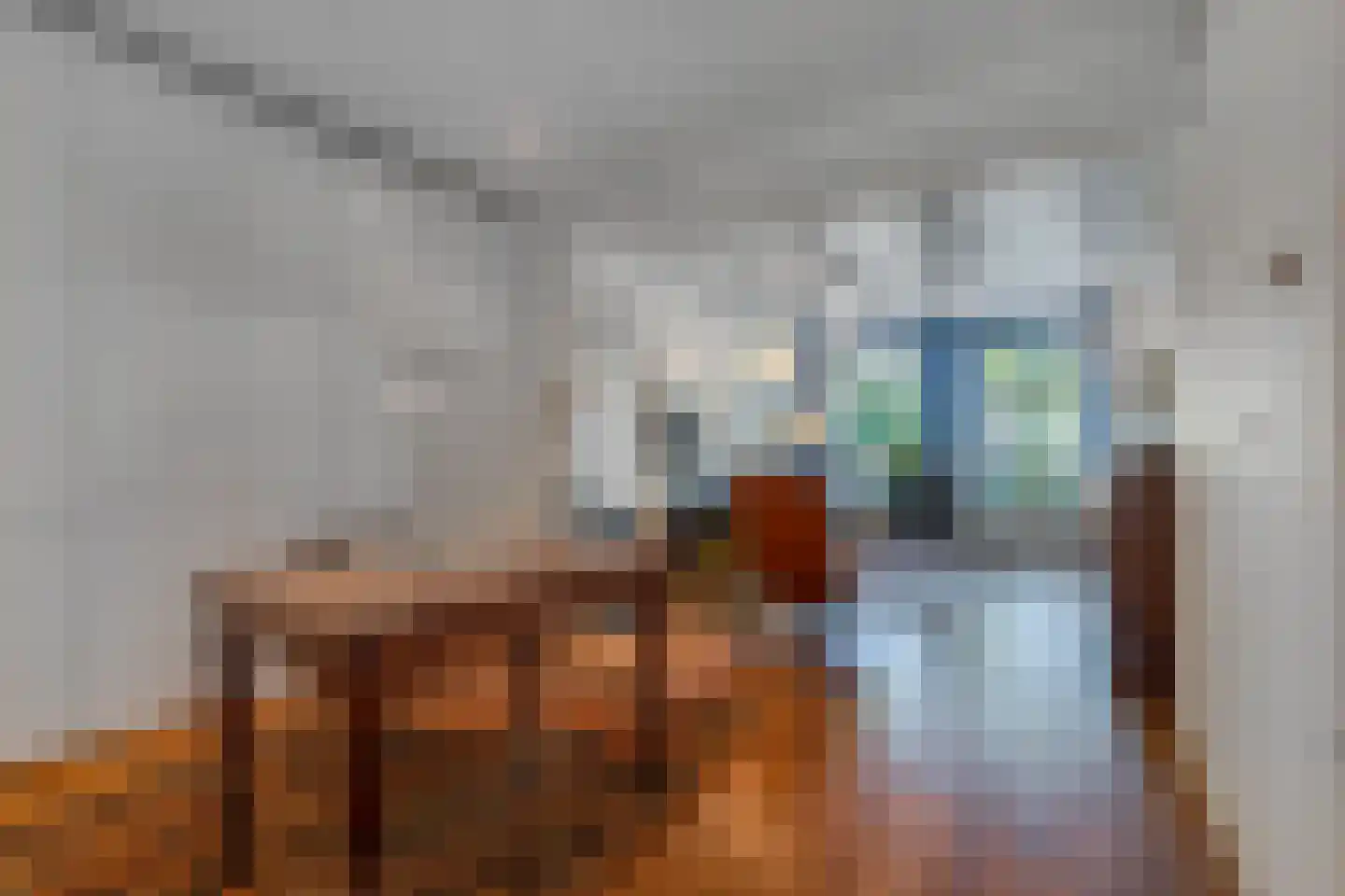 Wilhelminastraat 39 Steenwijk thumbnail 9