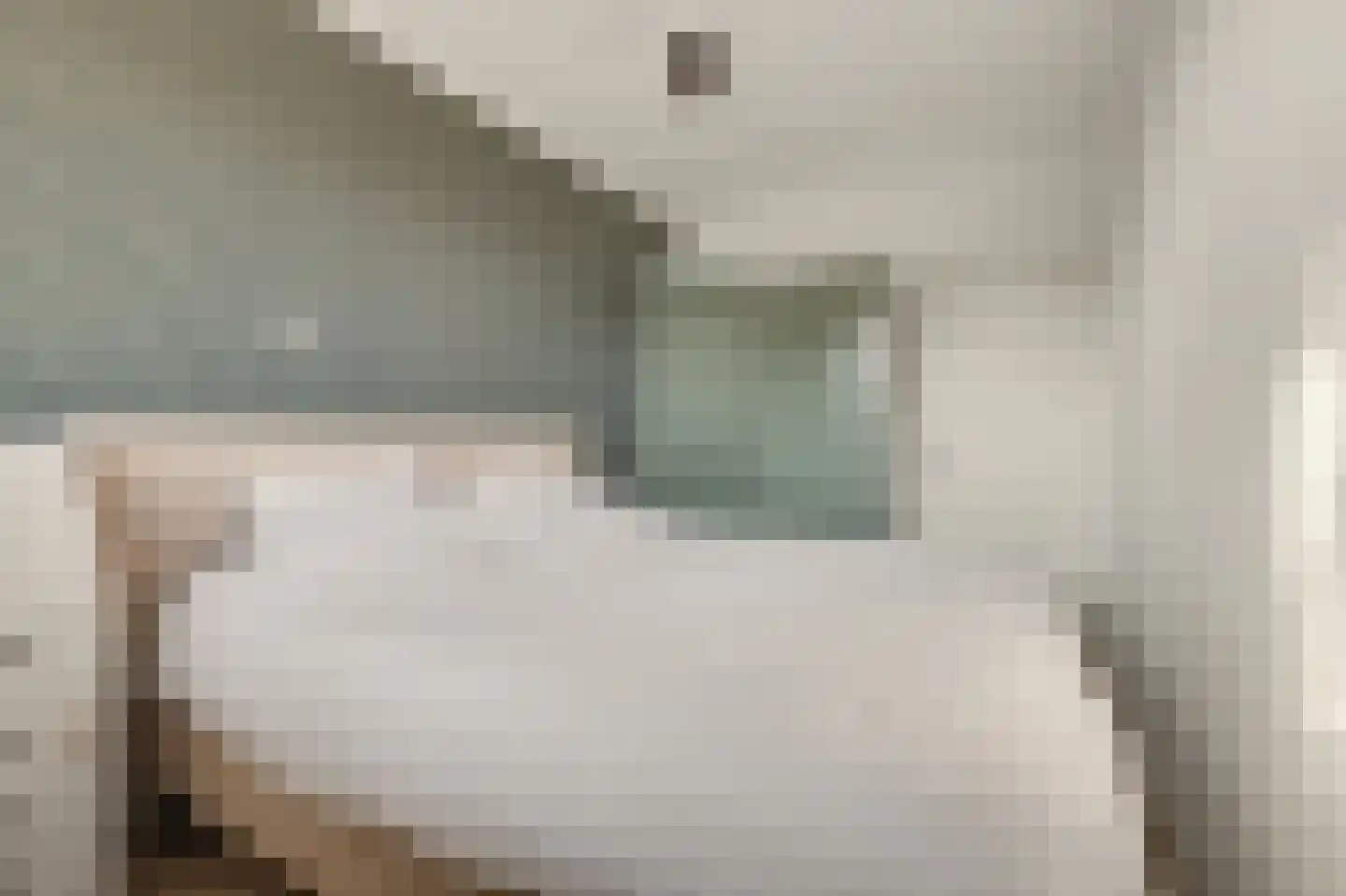 Wilhelminastraat 39 Waalwijk thumbnail 24