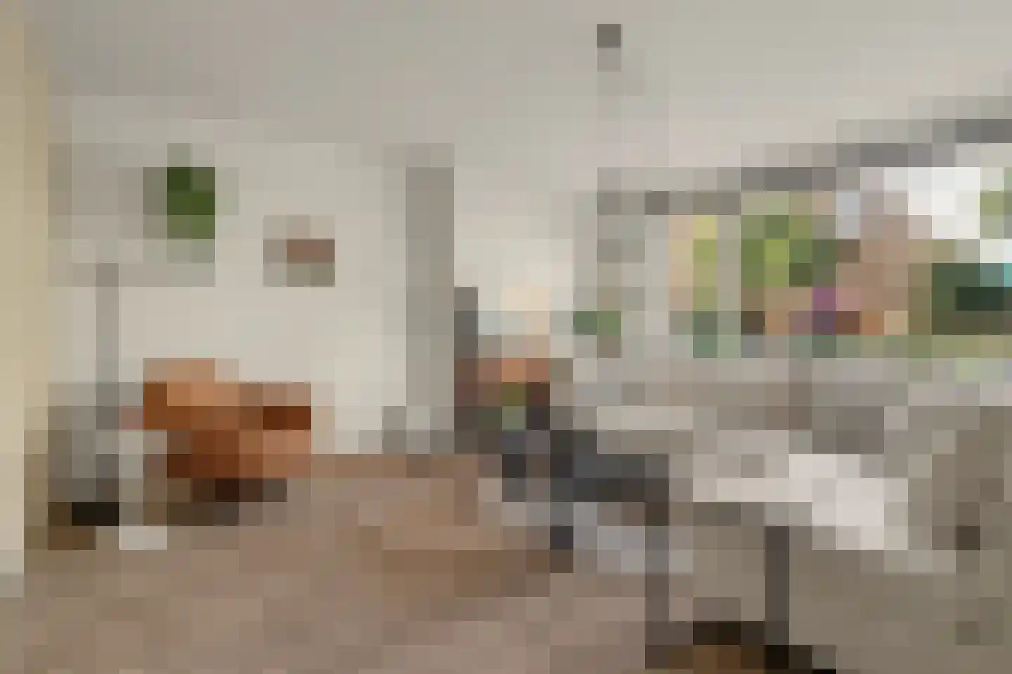 Wilhelminastraat 39 Waalwijk thumbnail 7