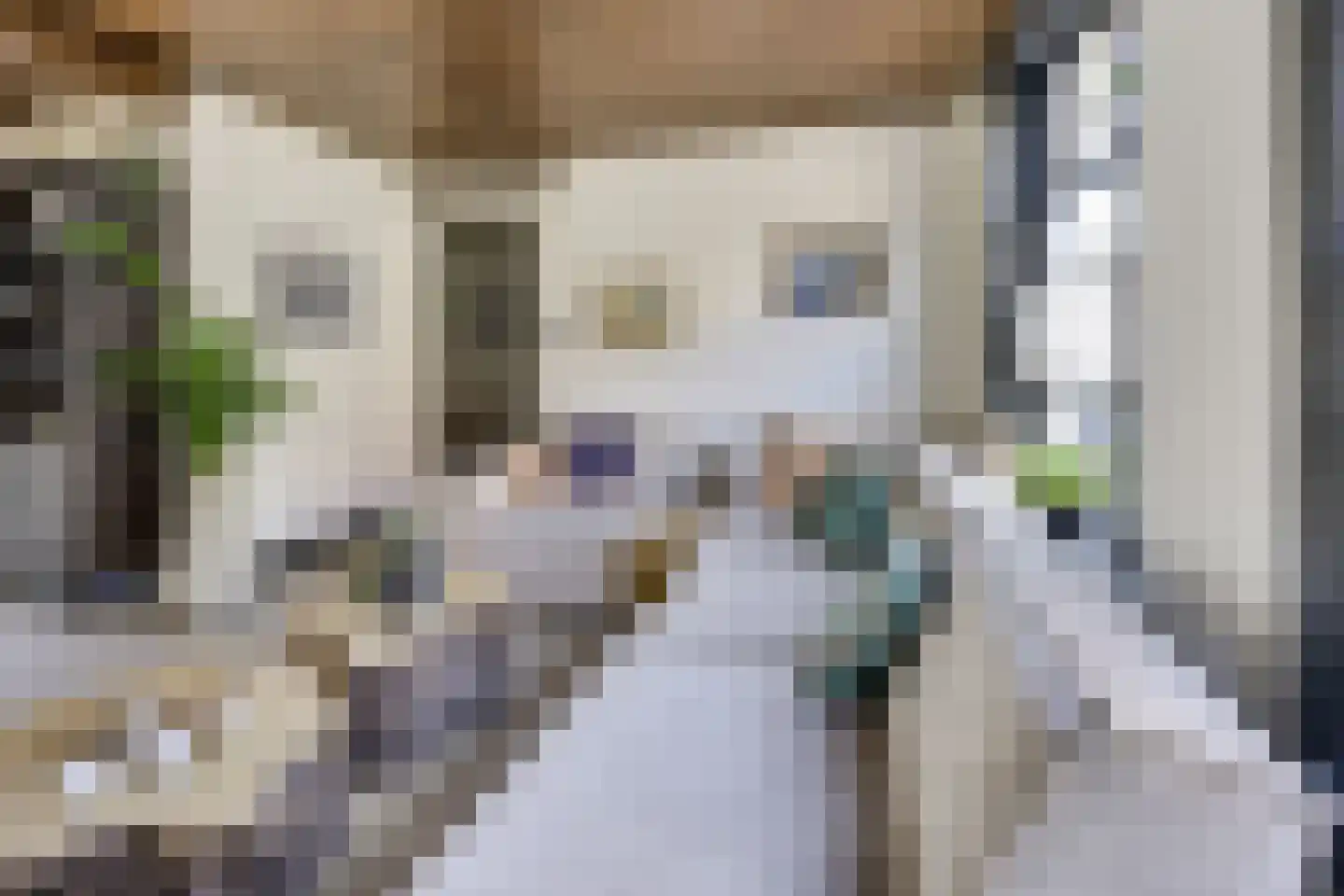 Wilhelminastraat 39 Wijk bij Duurstede thumbnail 10