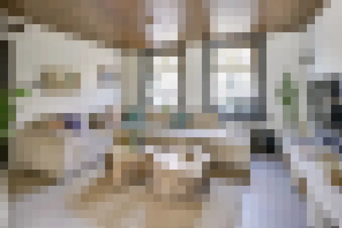 Wilhelminastraat 39 Wijk bij Duurstede thumbnail 11