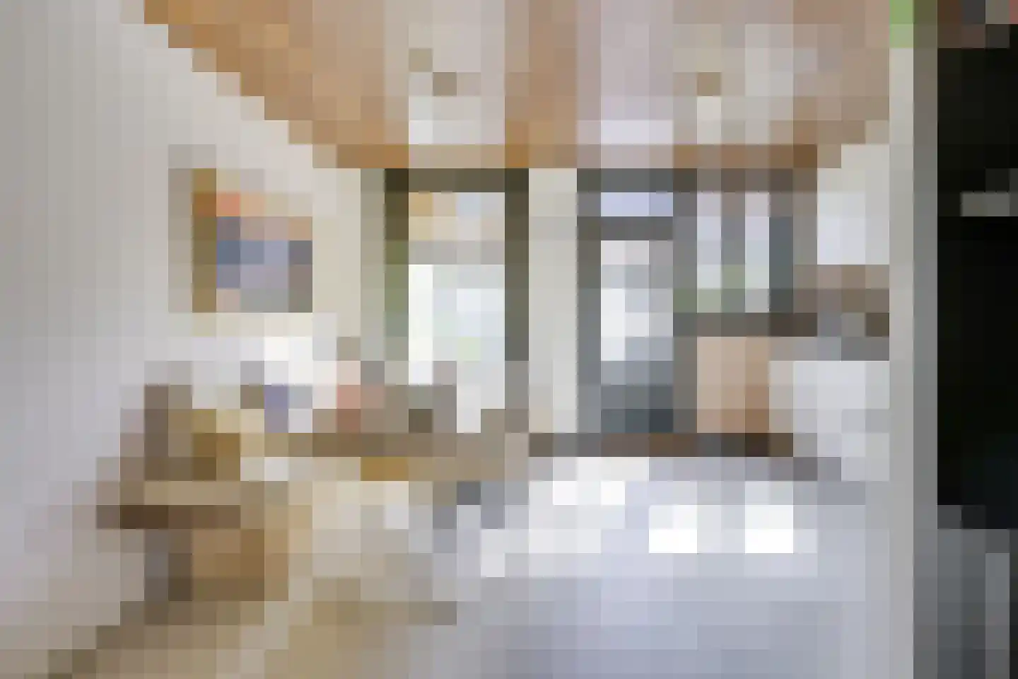 Wilhelminastraat 39 Wijk bij Duurstede thumbnail 14