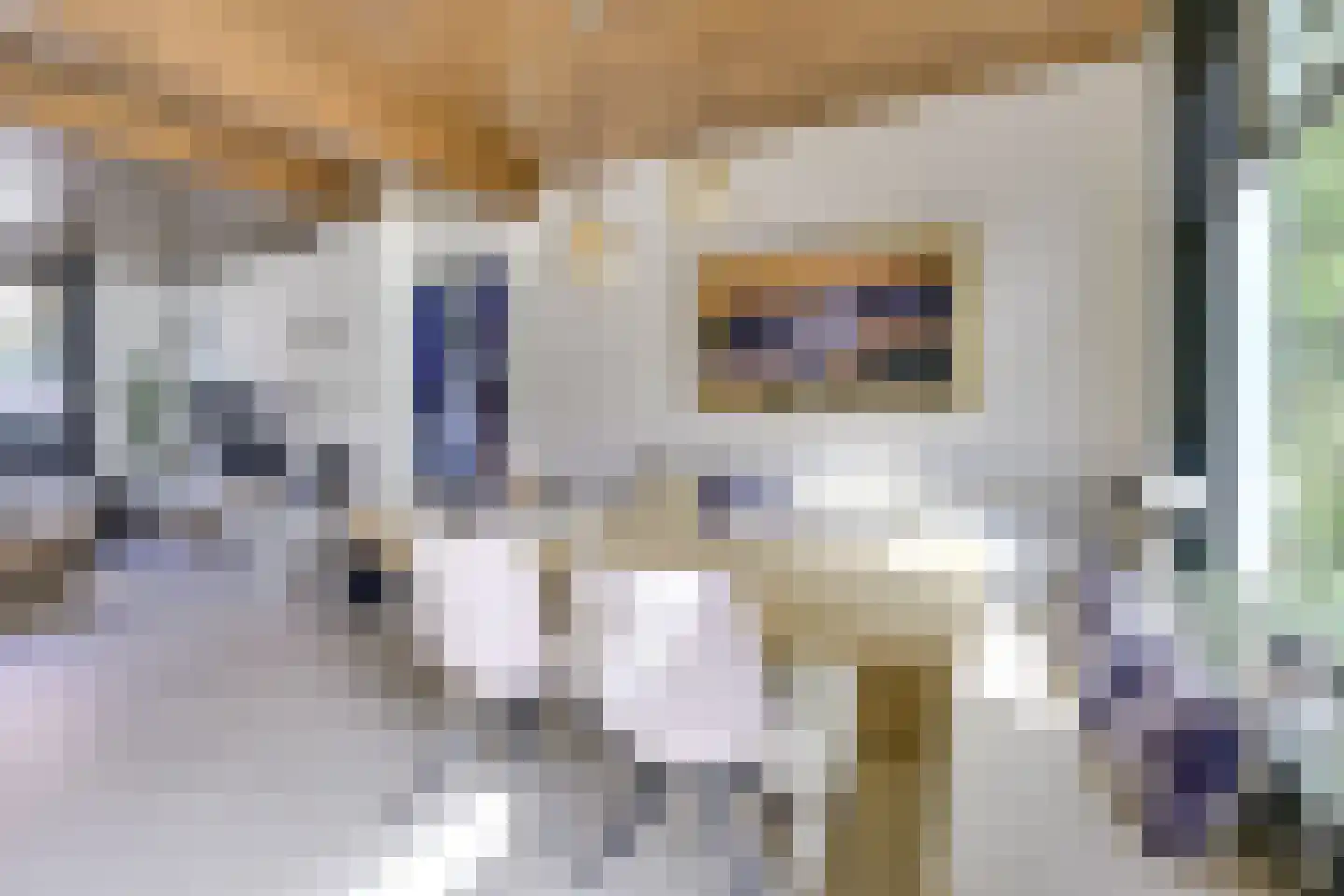 Wilhelminastraat 39 Wijk bij Duurstede thumbnail 15