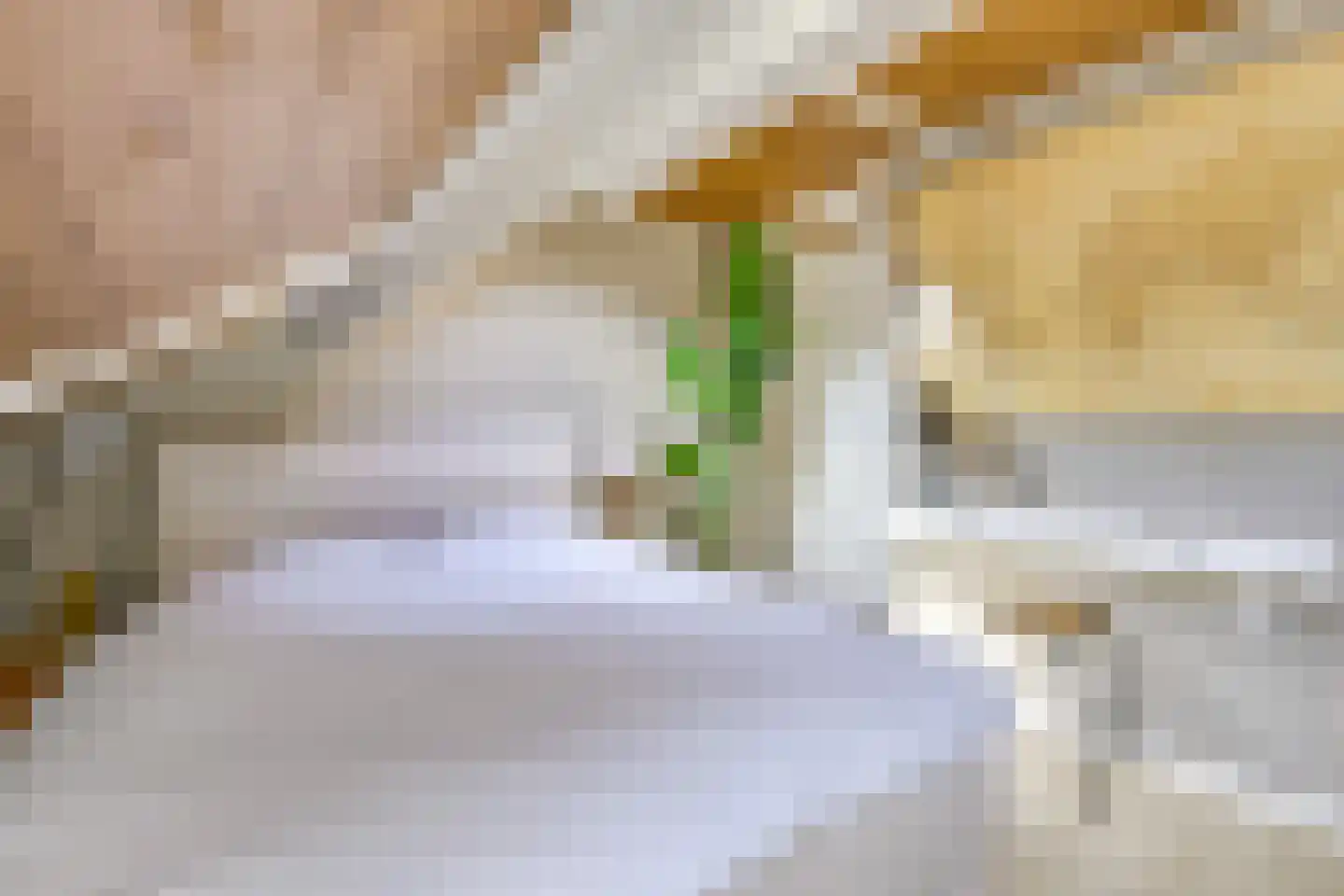 Wilhelminastraat 39 Wijk bij Duurstede thumbnail 25