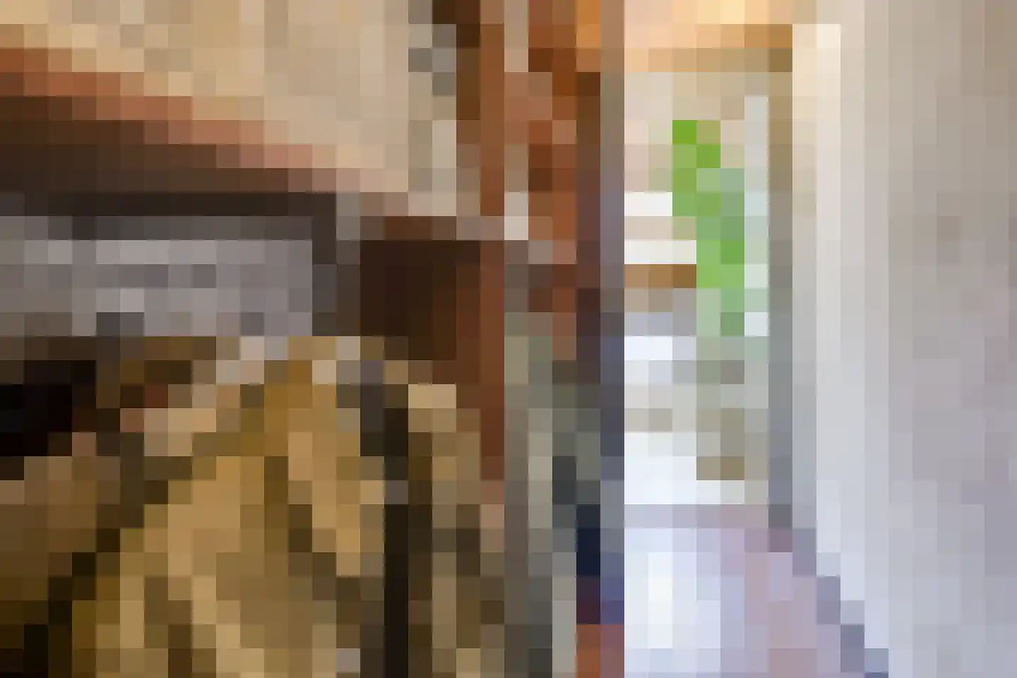 Wilhelminastraat 39 Wijk bij Duurstede thumbnail 27