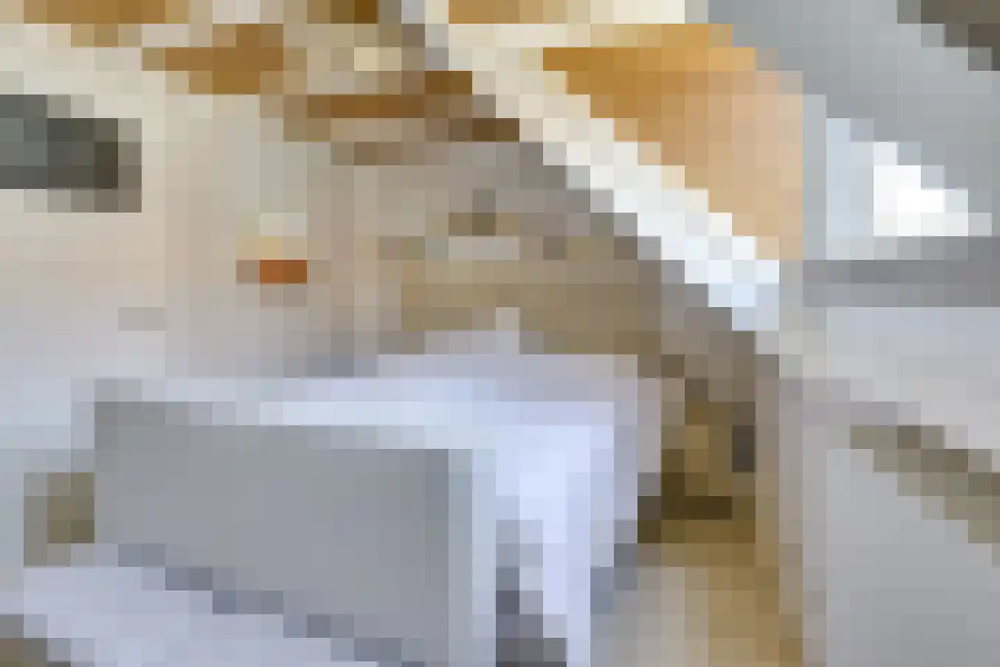 Wilhelminastraat 39 Wijk bij Duurstede thumbnail 32