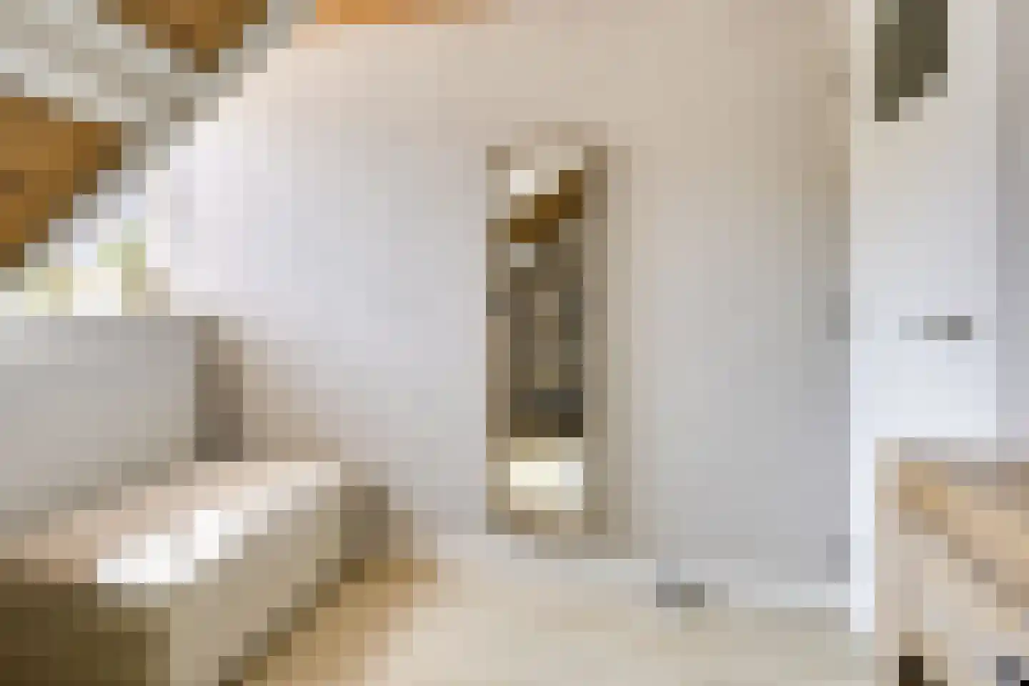 Wilhelminastraat 39 Wijk bij Duurstede thumbnail 37