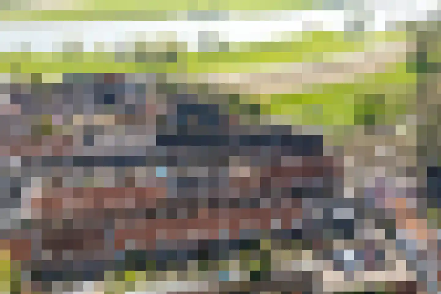 Wilhelminastraat 39 Wijk bij Duurstede thumbnail 41